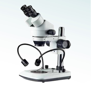 Microscopio estéreo de venta caliente (MT28108012)