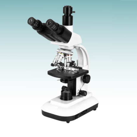 Microscopio biológico de venta caliente (MT28107302)