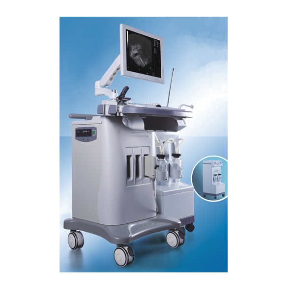 Máquina de sistema de diagnóstico por ultrasonido ultrasónico visible Gyn aprobada por CE/ISO (MT01006082)