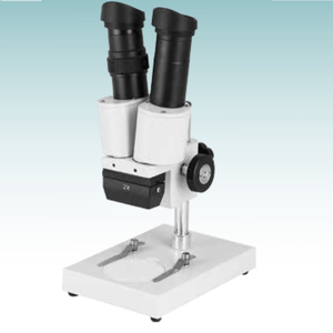 Microscopio estéreo de venta caliente (MT28108021)